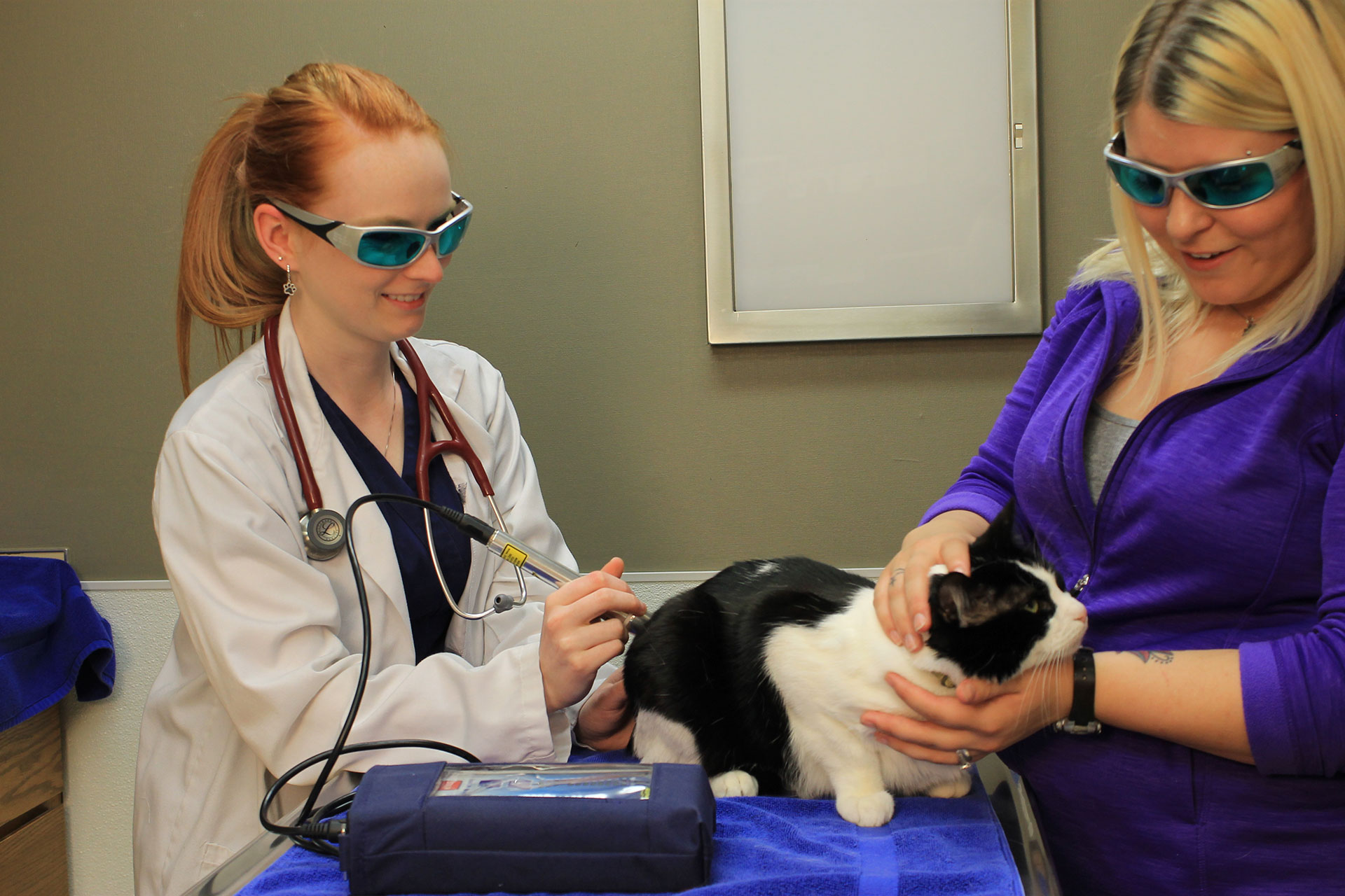 Laser Therapy Jackson, MO 