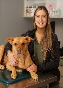 Dr. Katie Shively